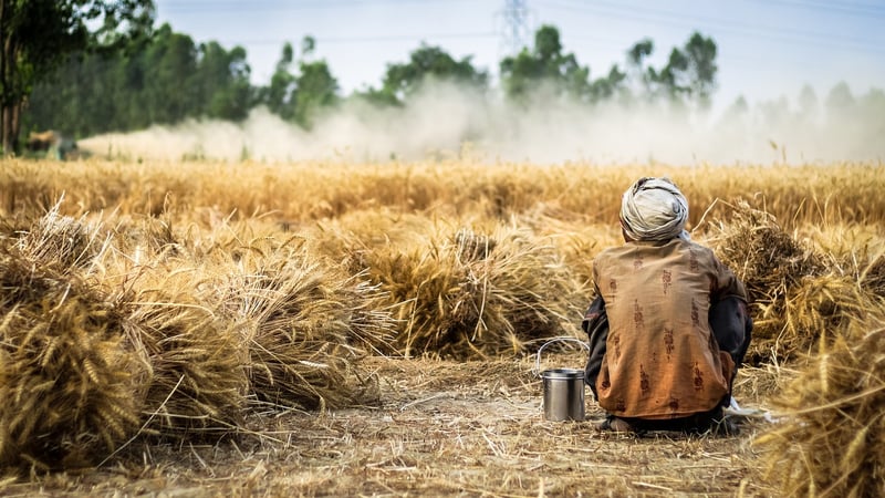 Sustainable Farming